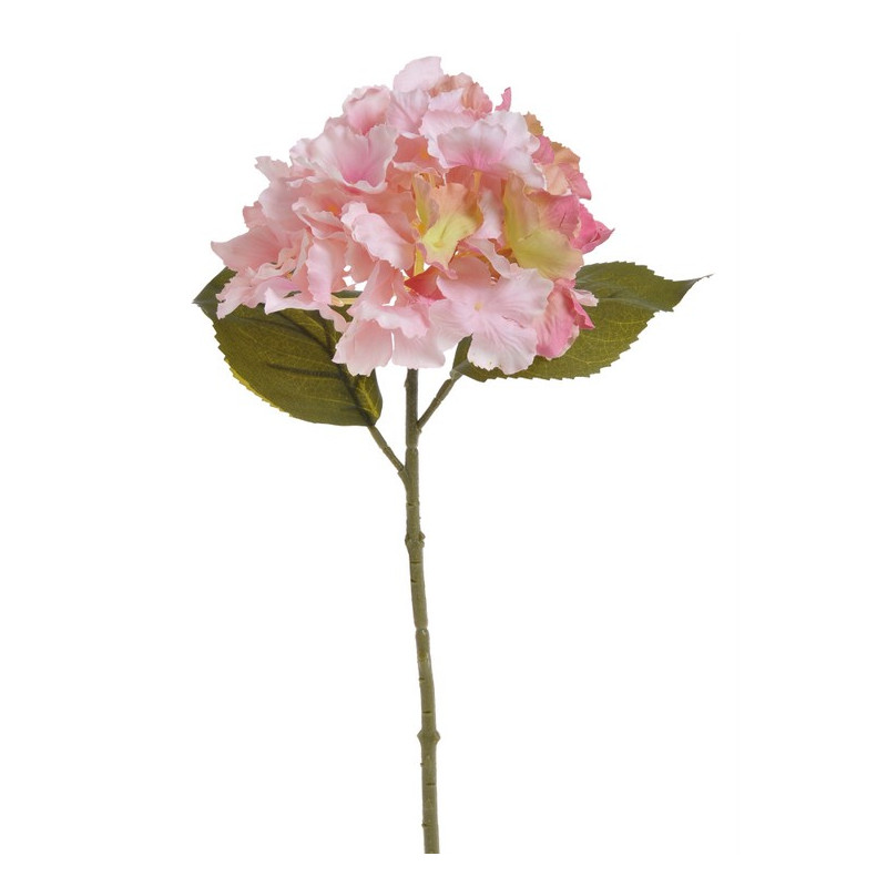 Hortensja x1 36 cm MIX KOLORÓW