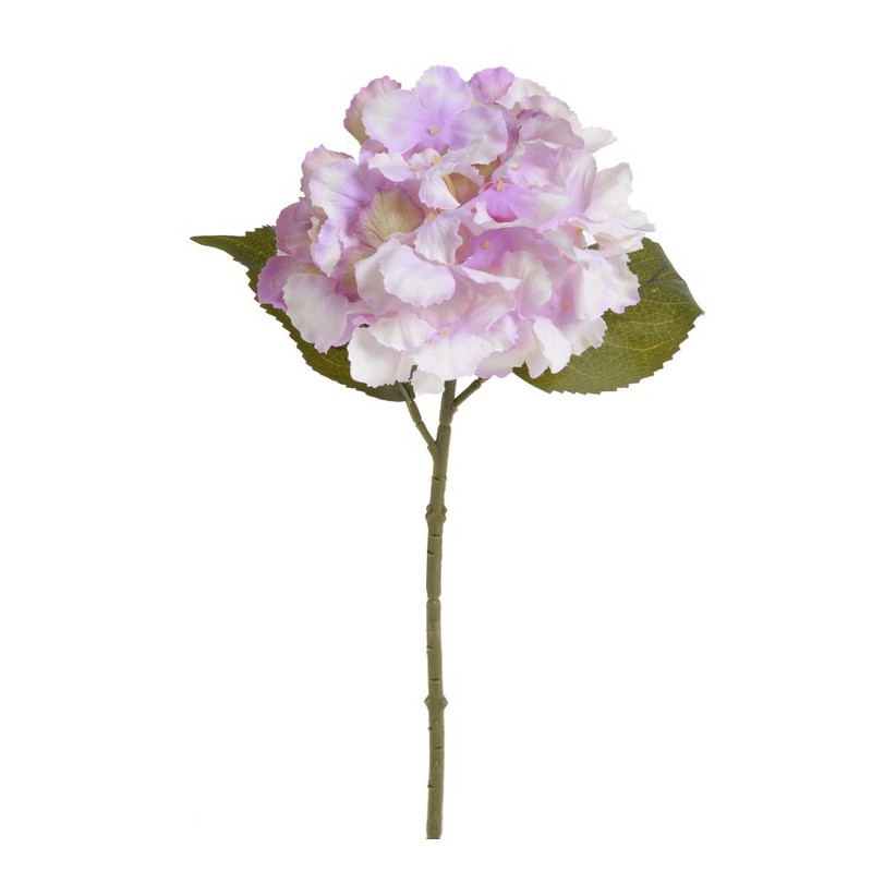 Hortensja x1 36 cm MIX KOLORÓW