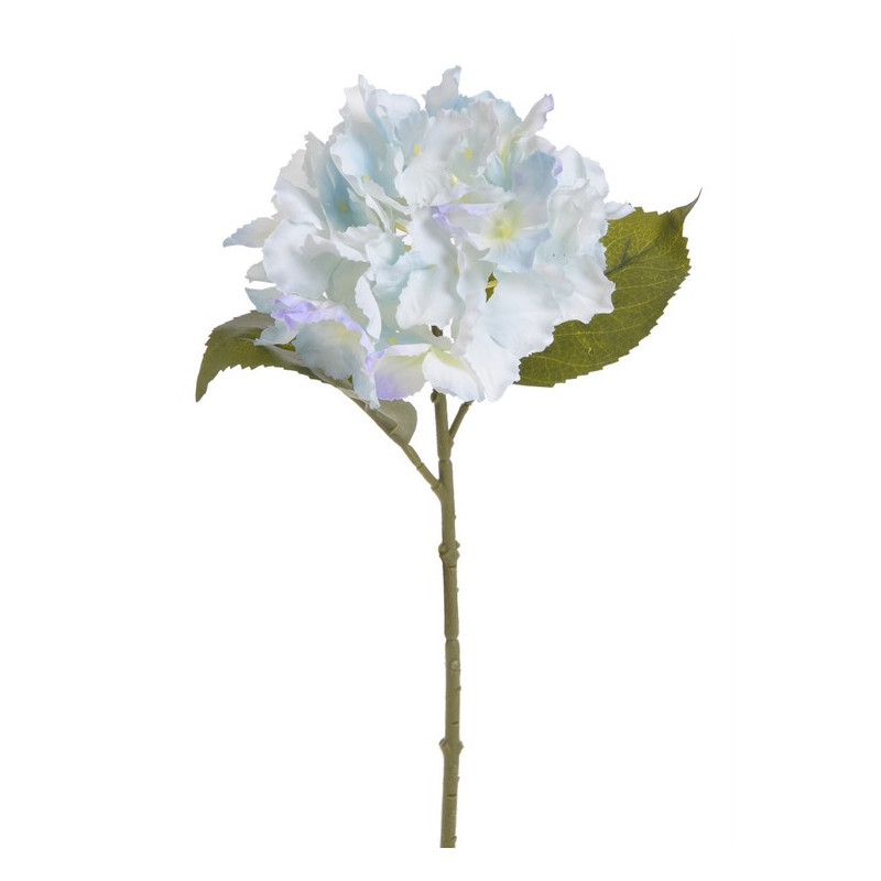 Hortensja x1 36 cm MIX KOLORÓW