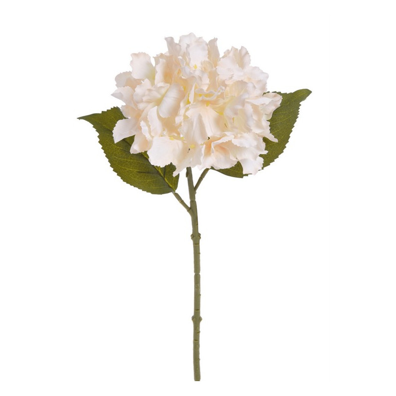 Hortensja x1 36 cm MIX KOLORÓW