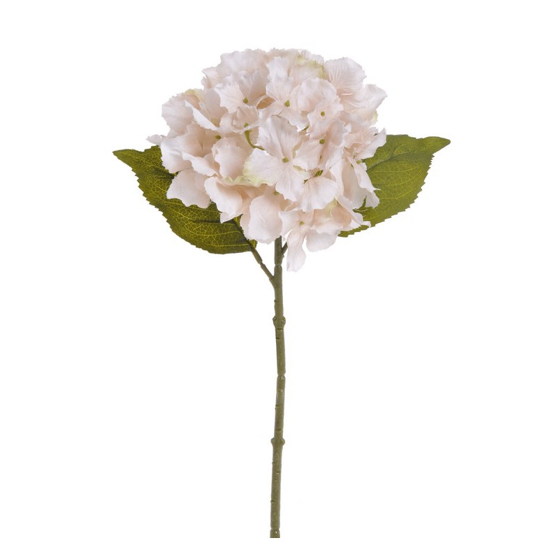 Hortensja x1 36 cm MIX KOLORÓW