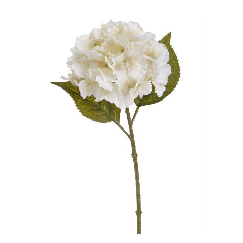 Hortensja x1 36 cm MIX KOLORÓW