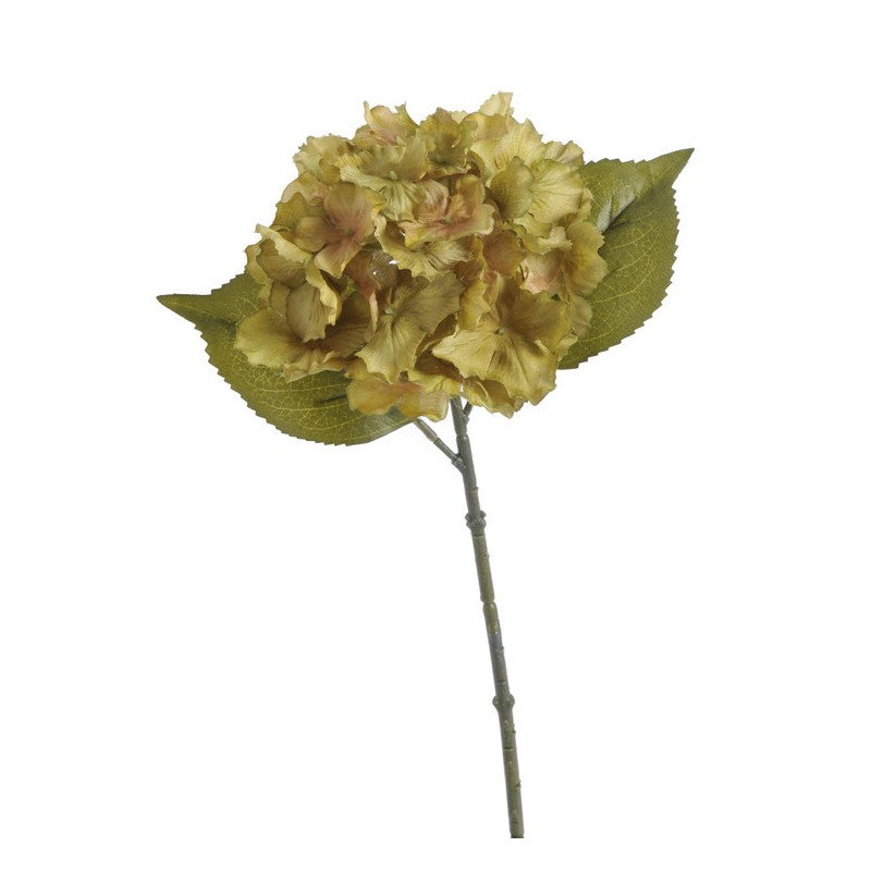 Hortensja x1 36 cm MIX KOLORÓW