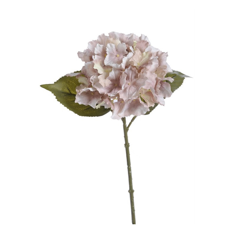 Hortensja x1 36 cm MIX KOLORÓW