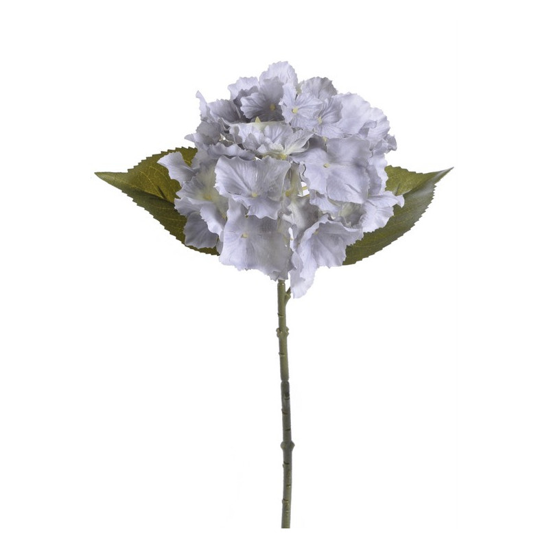 Hortensja x1 36 cm MIX KOLORÓW