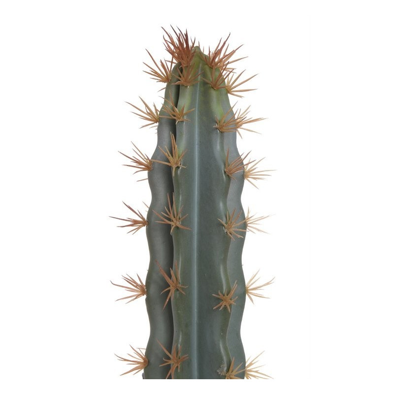 Kaktus (L87) 73x7x7 cm jak żywy