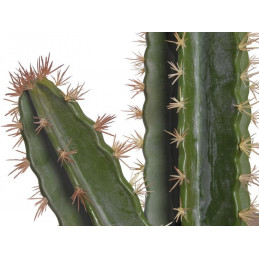 Kaktus (L142) 120x14x28 cm jak żywy