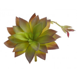 Sukulent 16x15 cm - sztuczna roślina 2 KOLORY