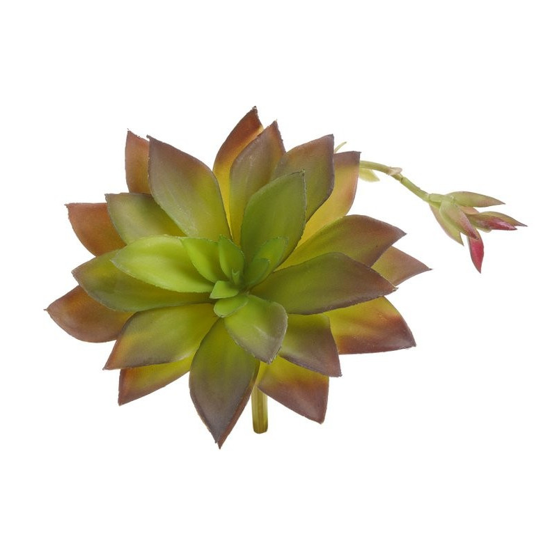 Sukulent 16x15 cm - sztuczna roślina 2 KOLORY