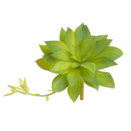 Sukulent 16x15 cm - sztuczna roślina 2 KOLORY