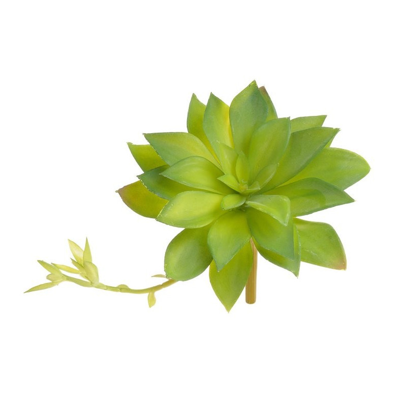 Sukulent 16x15 cm - sztuczna roślina 2 KOLORY