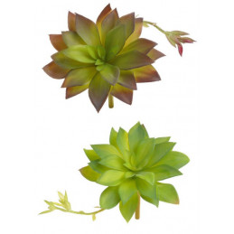 Sukulent 16x15 cm - sztuczna roślina 2 KOLORY