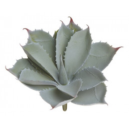 Sukulent 21x20 cm - sztuczna roślina