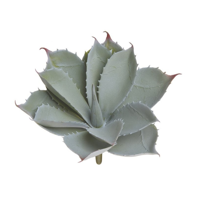 Sukulent 21x20 cm - sztuczna roślina