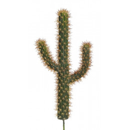 Kaktus (L64) 53x26x6 cm jak żywy