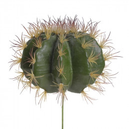 Kaktus kula 30-17 (25x25)cm cm jak żywy