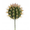 Kaktus 20-12 (13x13 )cm jak żywy