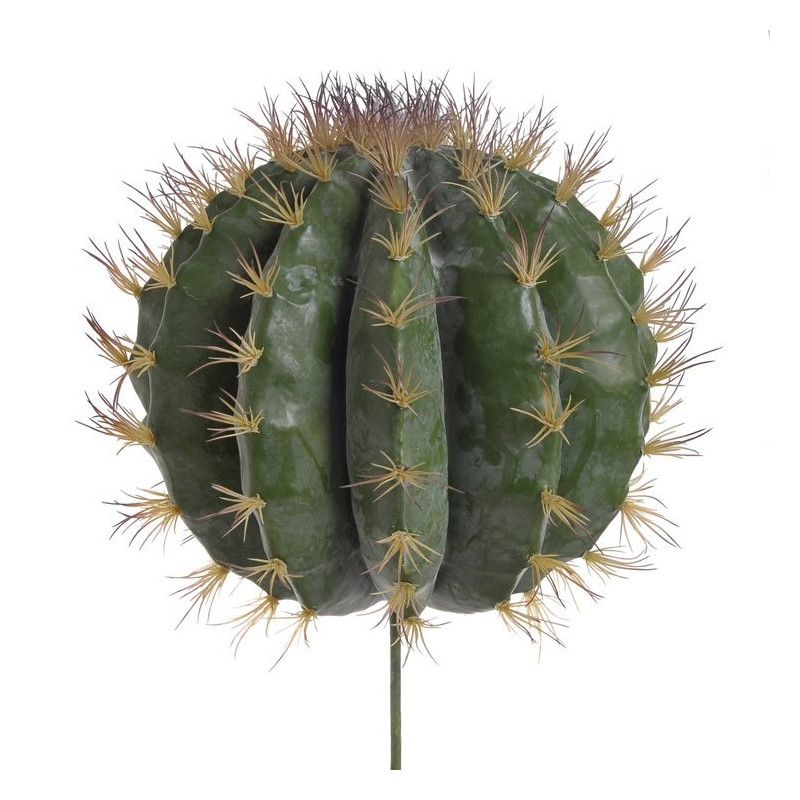 Kaktus 50-30 (34x34)cm jak żywy