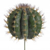 Kaktus 50-30 (34x34)cm jak żywy