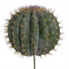 Kaktus 60-43 (45x45) cm jak żywy