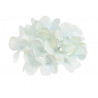 Hortensja wyrobowa główka x12sztuk/ paczka  14 cm MIX KOLORÓW