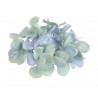 Hortensja wyrobowa główka x12sztuk/ paczka  14 cm MIX KOLORÓW