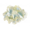 Hortensja wyrobowa główka x12sztuk/ paczka  14 cm MIX KOLORÓW