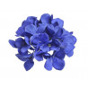 Hortensja wyrobowa główka x12sztuk/ paczka  14 cm MIX KOLORÓW