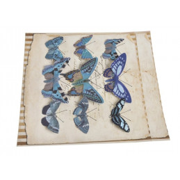 Motyl na klipie 6-10 cm, 9 szt/kpl DK BLUE