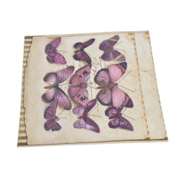 Motyl na klipie 6-10 cm, 9 szt/kpl PURPLE