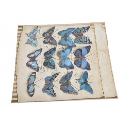 Motyl na klipie 6,5 cm, 12 szt/kpl BLUE