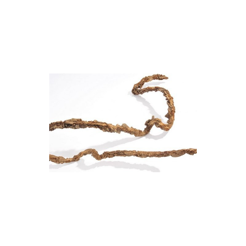 Muruku stick thick_L150-170 cm_F3-4 cm