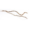 Muruku stick thick_L150-170 cm_F3-4 cm