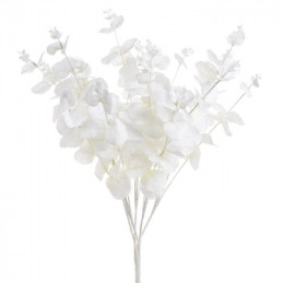 Bukiet eukaliptusa 47 cm