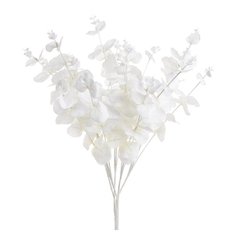 Bukiet eukaliptusa 47 cm