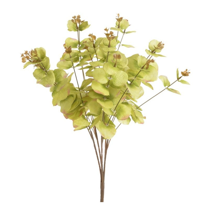 Bukiet eukaliptusa 47 cm