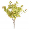 Bukiet eukaliptusa 47 cm