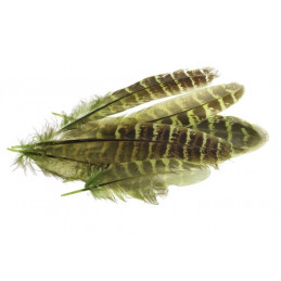 Piórka 12-16 cm, 10szt/paczka