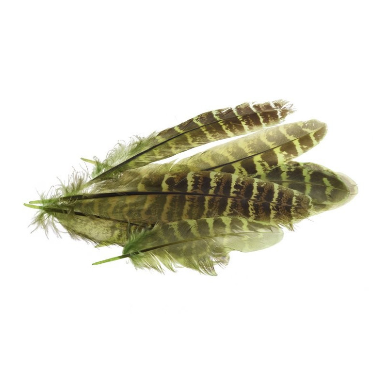 Piórka 12-16 cm, 10szt/paczka