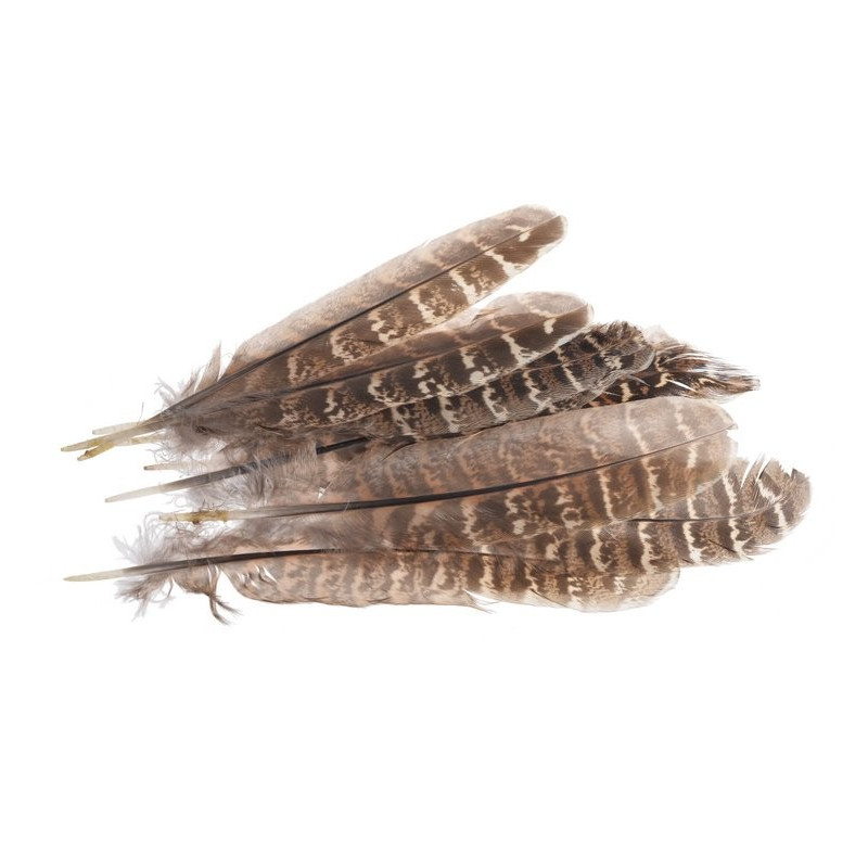 Piórka 12-16 cm, 10szt/paczka