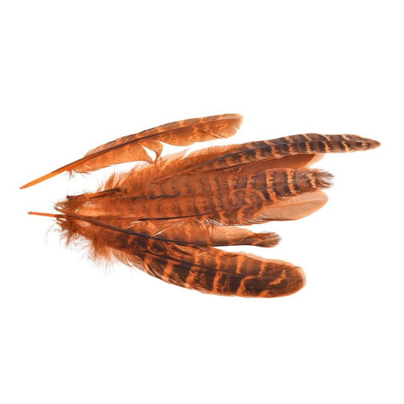 Piórka 12-16 cm, 10szt/paczka