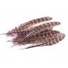 Piórka 12-16 cm, 10szt/paczka
