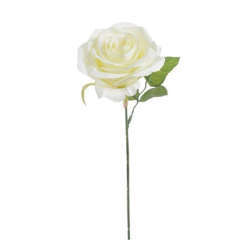 Róża pojedyncza 30 cm