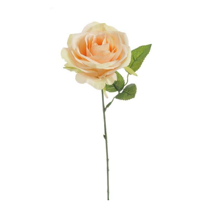Róża pojedyncza 30 cm
