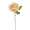 Róża pojedyncza 30 cm