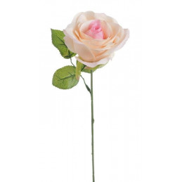 Róża pojedyncza 30 cm