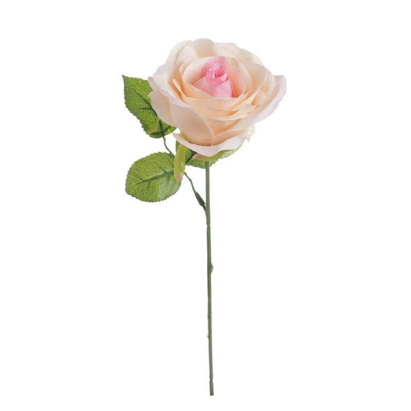 Róża pojedyncza 30 cm