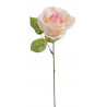Róża pojedyncza 30 cm