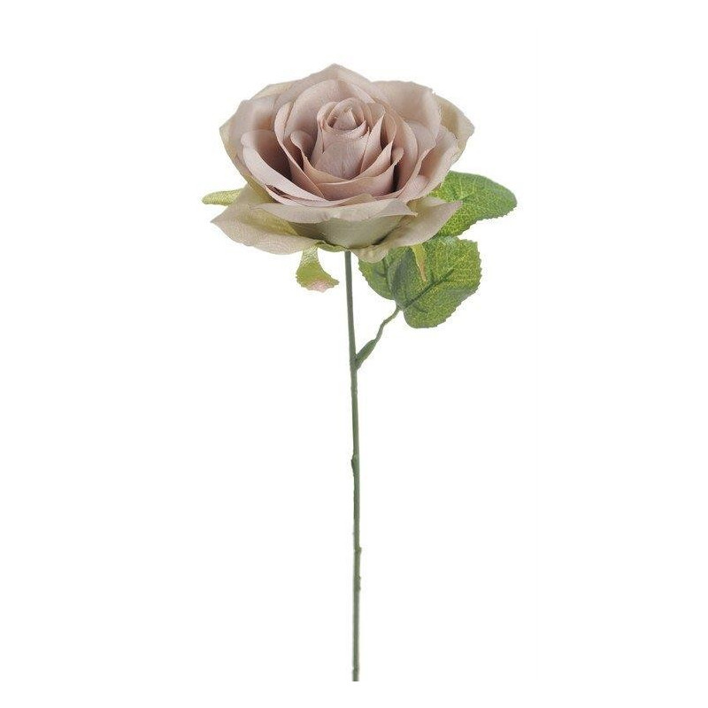 Róża pojedyncza 30 cm