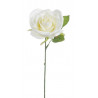 Róża pojedyncza 30 cm